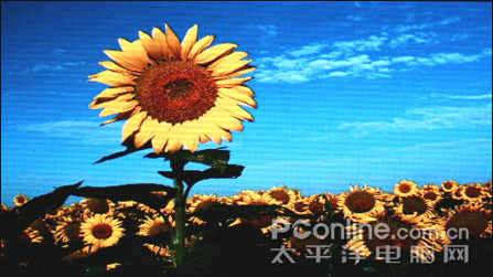 纽曼M8000