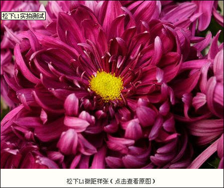 PConline评测室评测数码相机方法