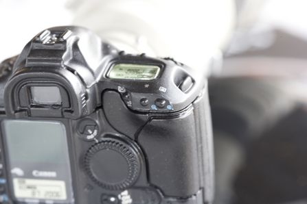 佳能 EOS 1Ds MARK II与90微效果