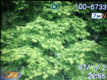 卡西欧V7评测