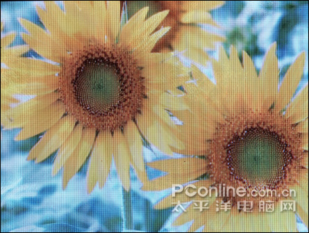 纽曼M5000评测