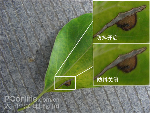 卡西欧Z1200评测