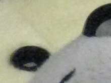 佳能IXUS 960 IS感光度噪点评测