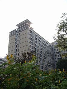 索尼T200样张