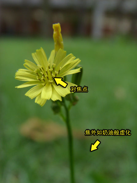 三星i85评测_微距样张