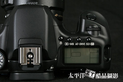 佳能40D照片