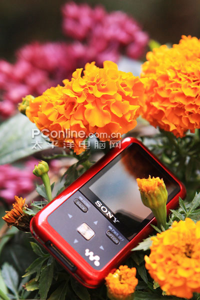 直接传输音乐 SONY S610新品视频MP3图赏--