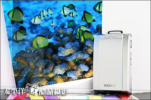 索尼T300照片
