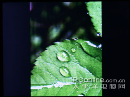 台电M25评测