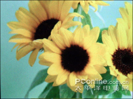歌美X100评测