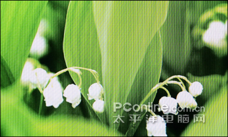 纽曼A4评测