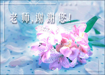 教师节