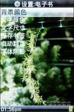 智器TAO评测