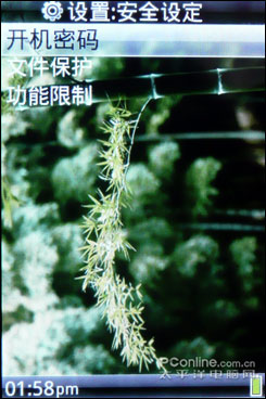 智器TAO评测