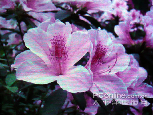 爱信A2820V评测
