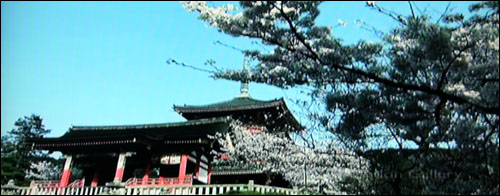 高清MP4横评