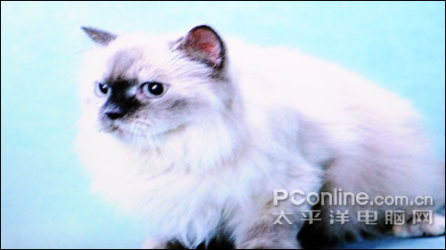 驰为M20评测
