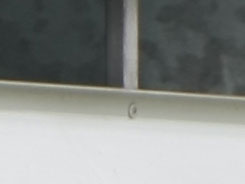 腾龙18-270VC镜头评测