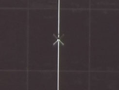 腾龙18-270VC镜头评测