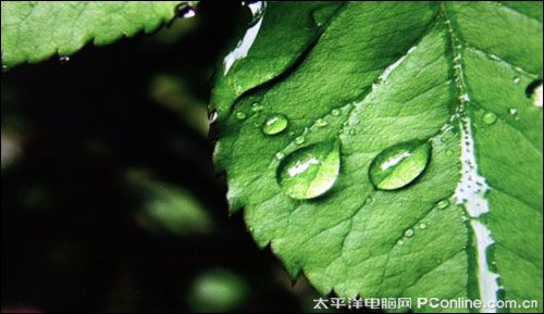 索爱V19评测