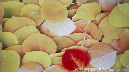 索爱V19评测