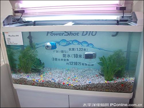 P&E2009:单反炮阵齐上场 佳能展区人气旺