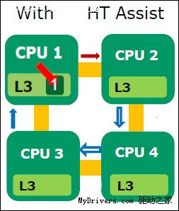 AMD