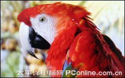 尼欧TV-16