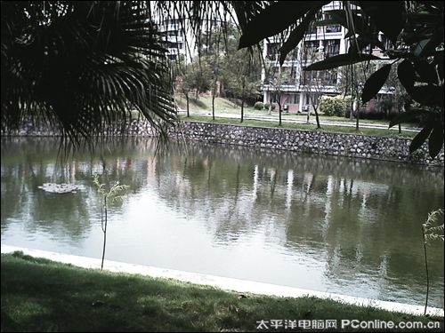 索爱V78拍摄样张2