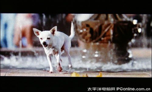 纽曼A13评测