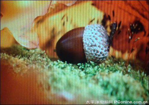 欧恩V8