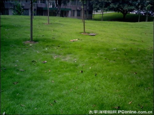 欧恩V8
