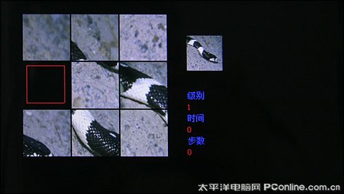 VX656