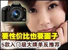 要性价比也要面子 5款入门大牌单反推荐