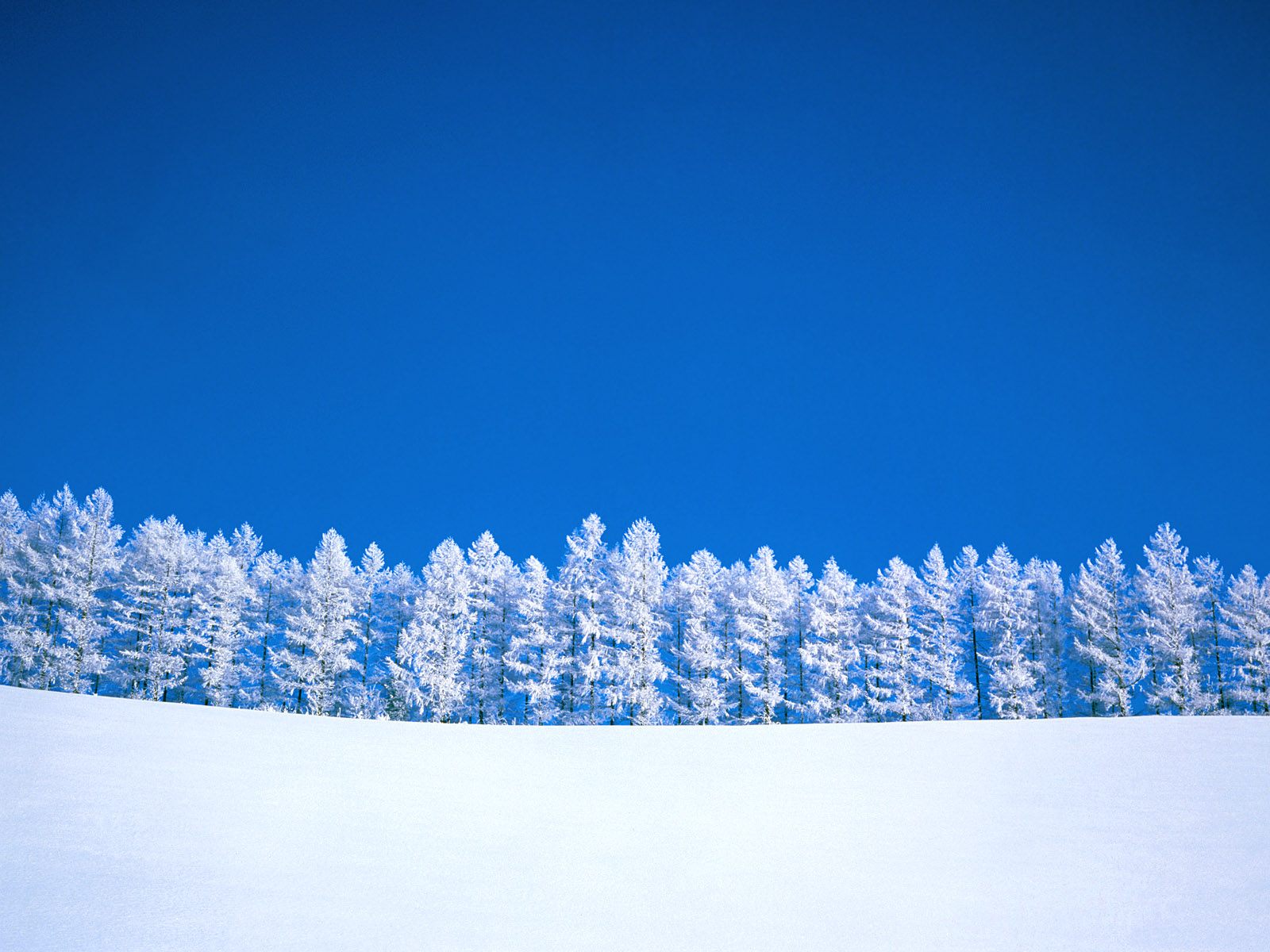 雪景图片 - 美丽冬天雪景壁纸