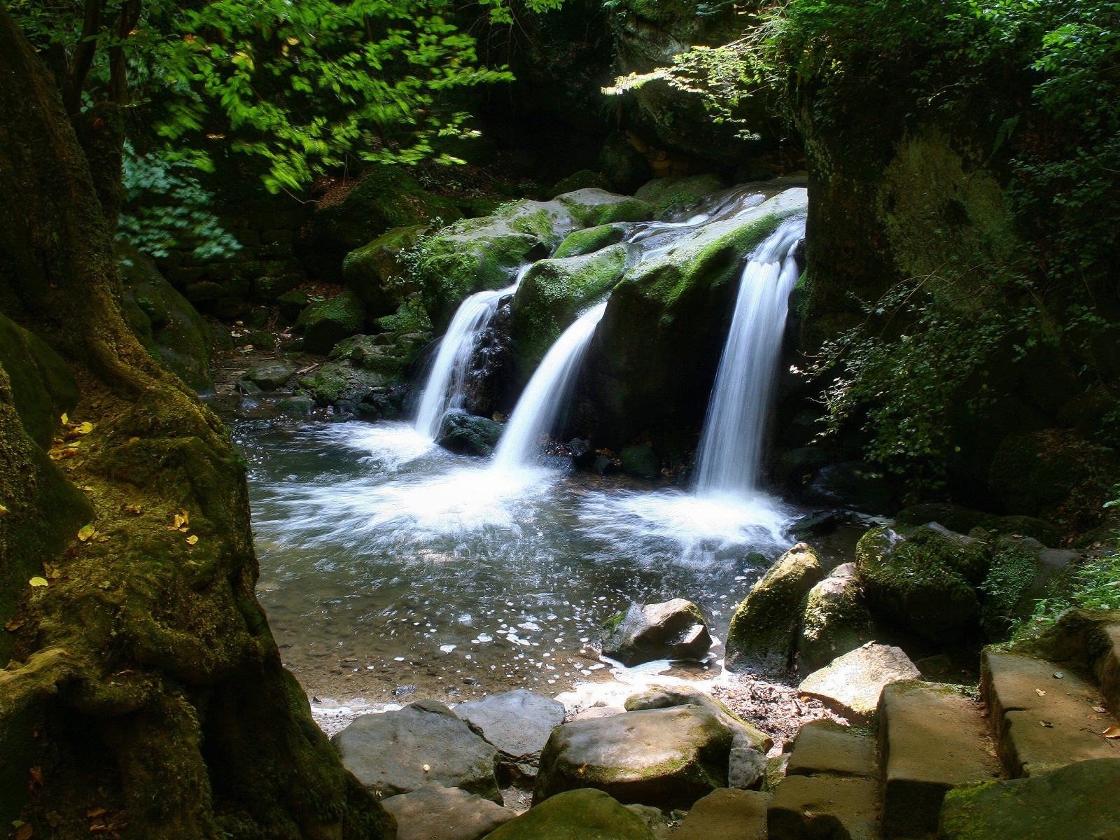 动感风景壁纸