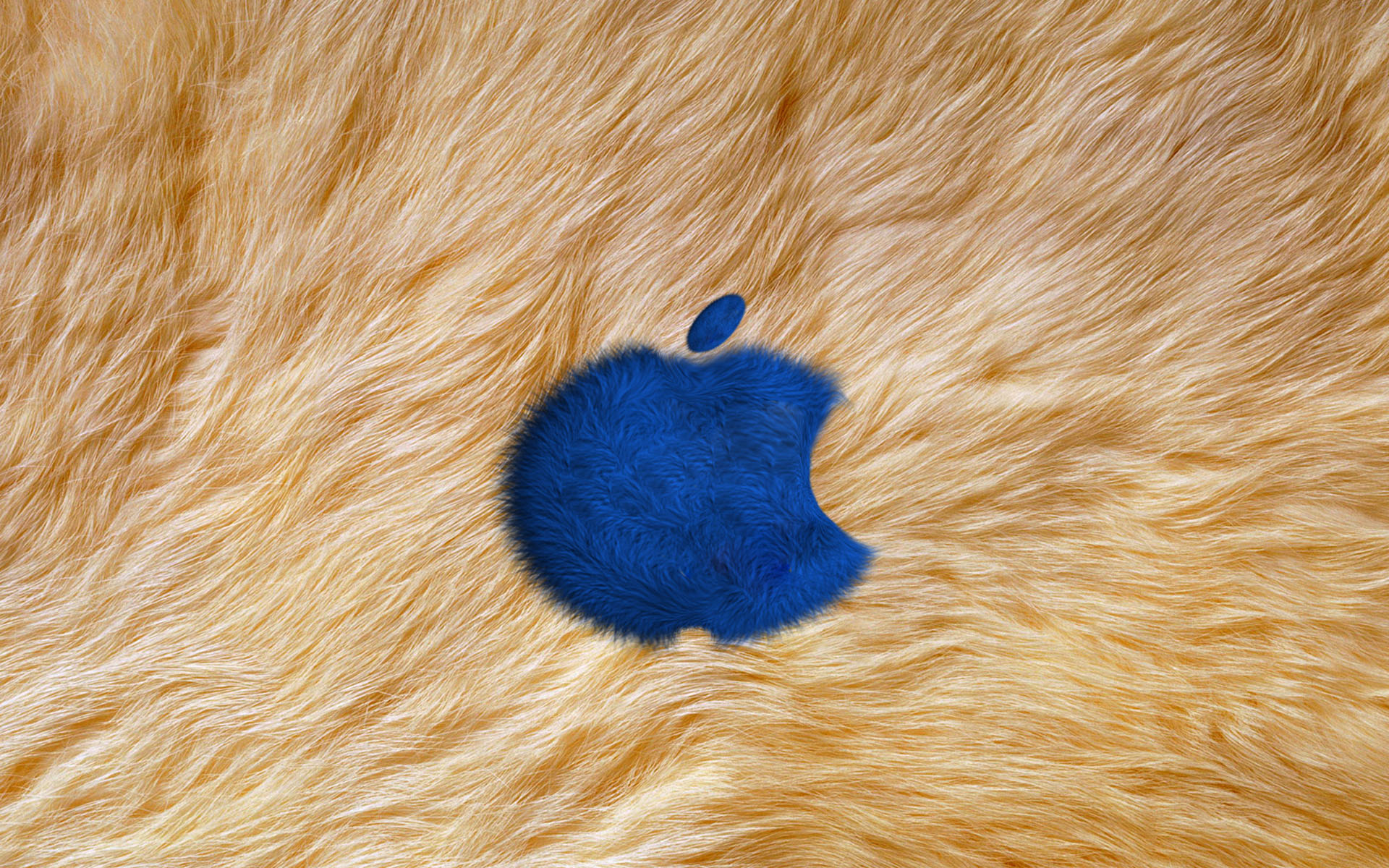 时尚设计 apple主题宽屏壁纸