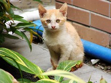 索尼H3评测