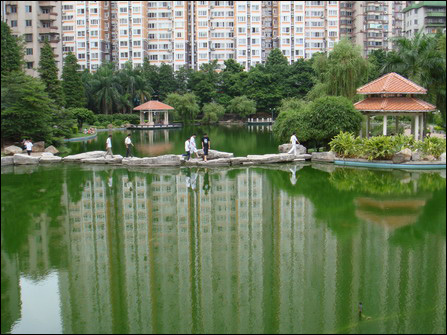 索尼T70实拍风景样张