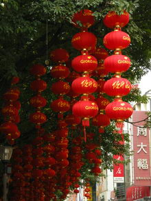 尼康P5100评测样张