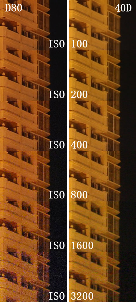 40D对比d80