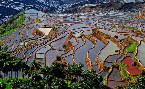 云阳梯田图赏8 云阳梯田图赏8
