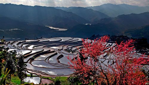 云阳梯田图赏2 云阳梯田图赏2