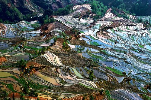 云阳梯田图赏3 云阳梯田图赏3