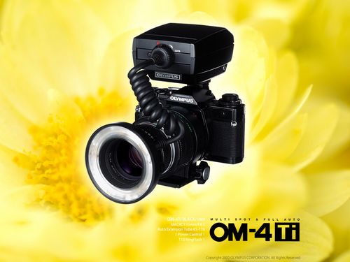 1986年奥林巴斯0M4ti壁纸(3)