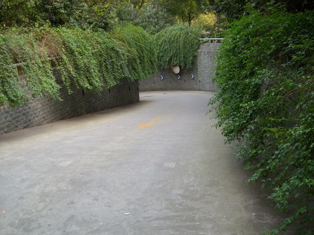尼康CoolPix L15评测