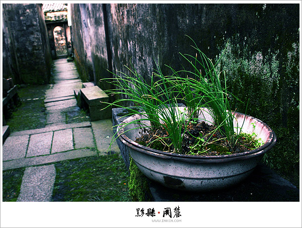 关麓八大家