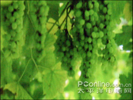 纽曼N99评测