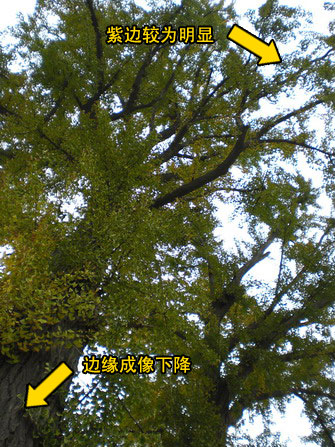 轻薄时尚卡西欧Z77评测