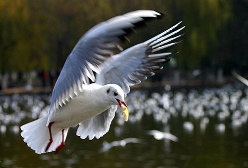 寂寞在唱歌（图12）
